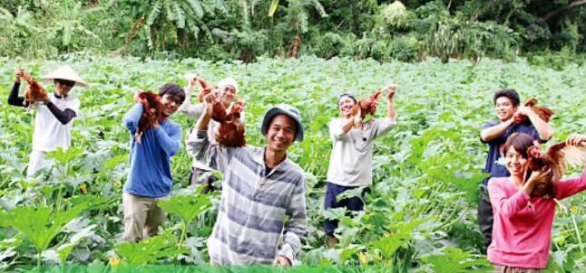 EM原液微生物可以讓水質(zhì)變得更加環(huán)保